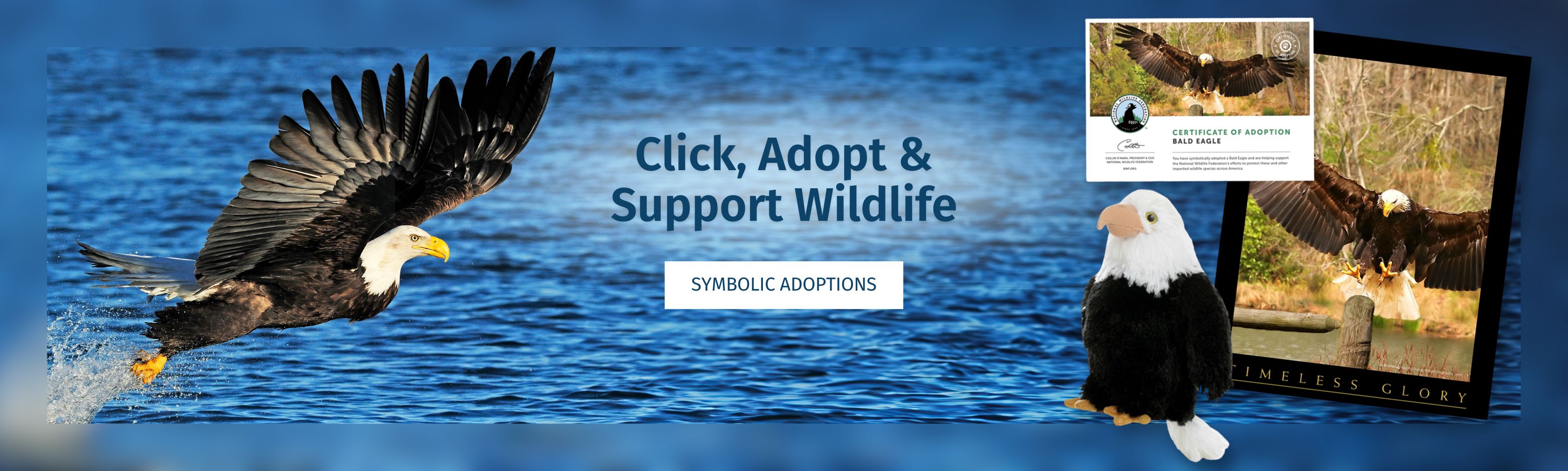 symbolic adoptions