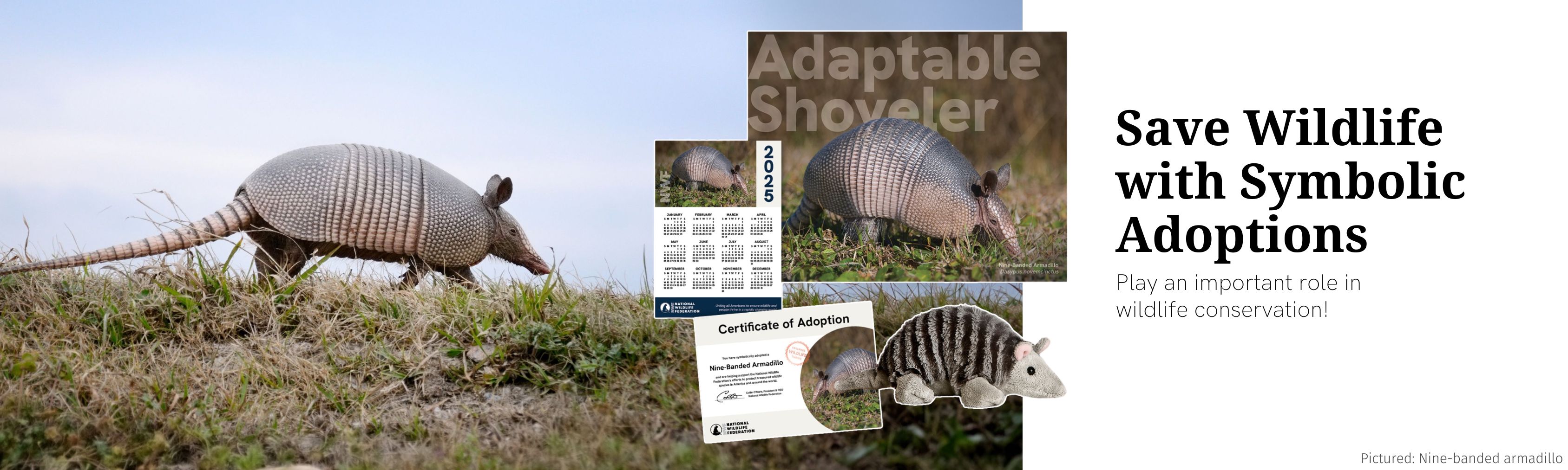 nine-banded armadillo symbolic adoptions!