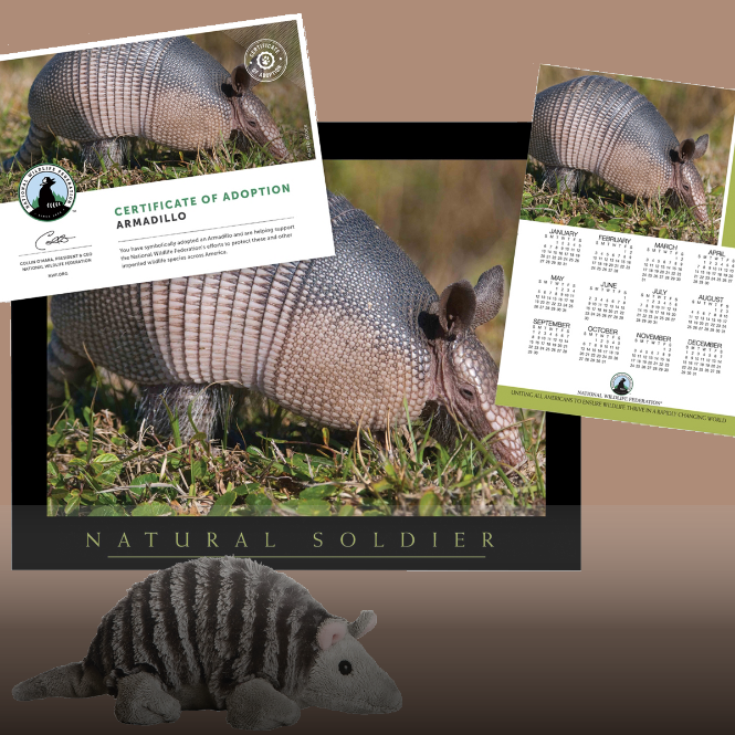 The National Wildlife Federation