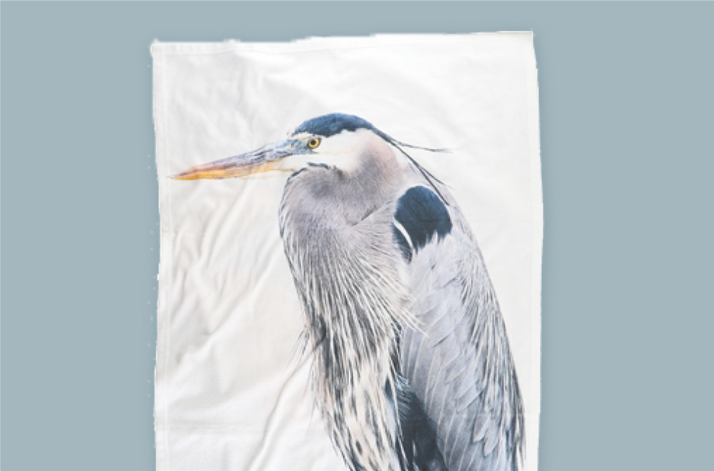 The National Wildlife Federation