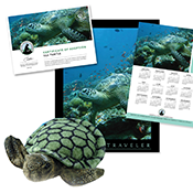 Image of Sea Turtle  plush