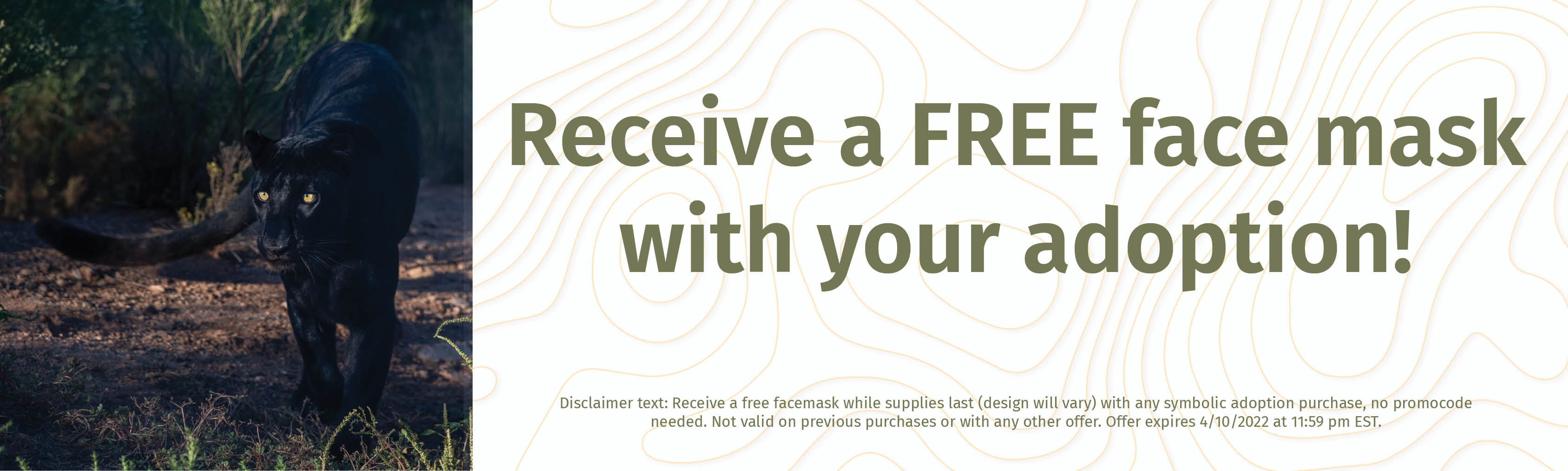 The National Wildlife Federation