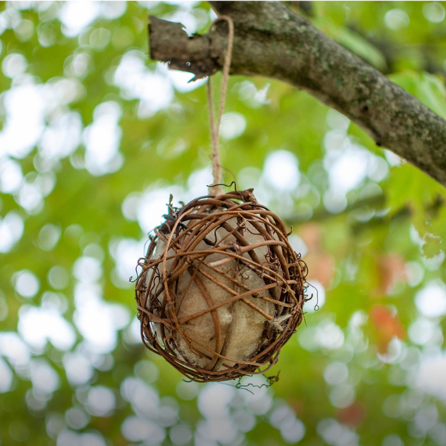 Create a Garden for Wildlife