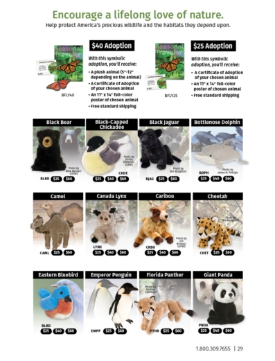 Page: 28