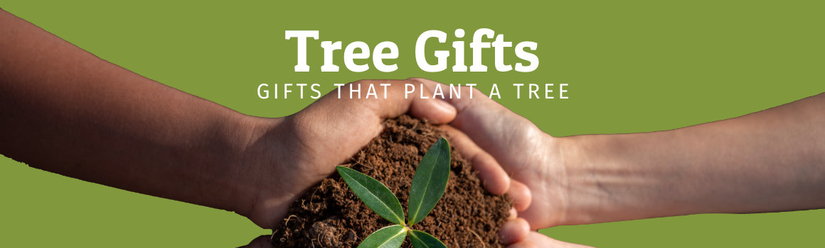 Tree Gifts header image