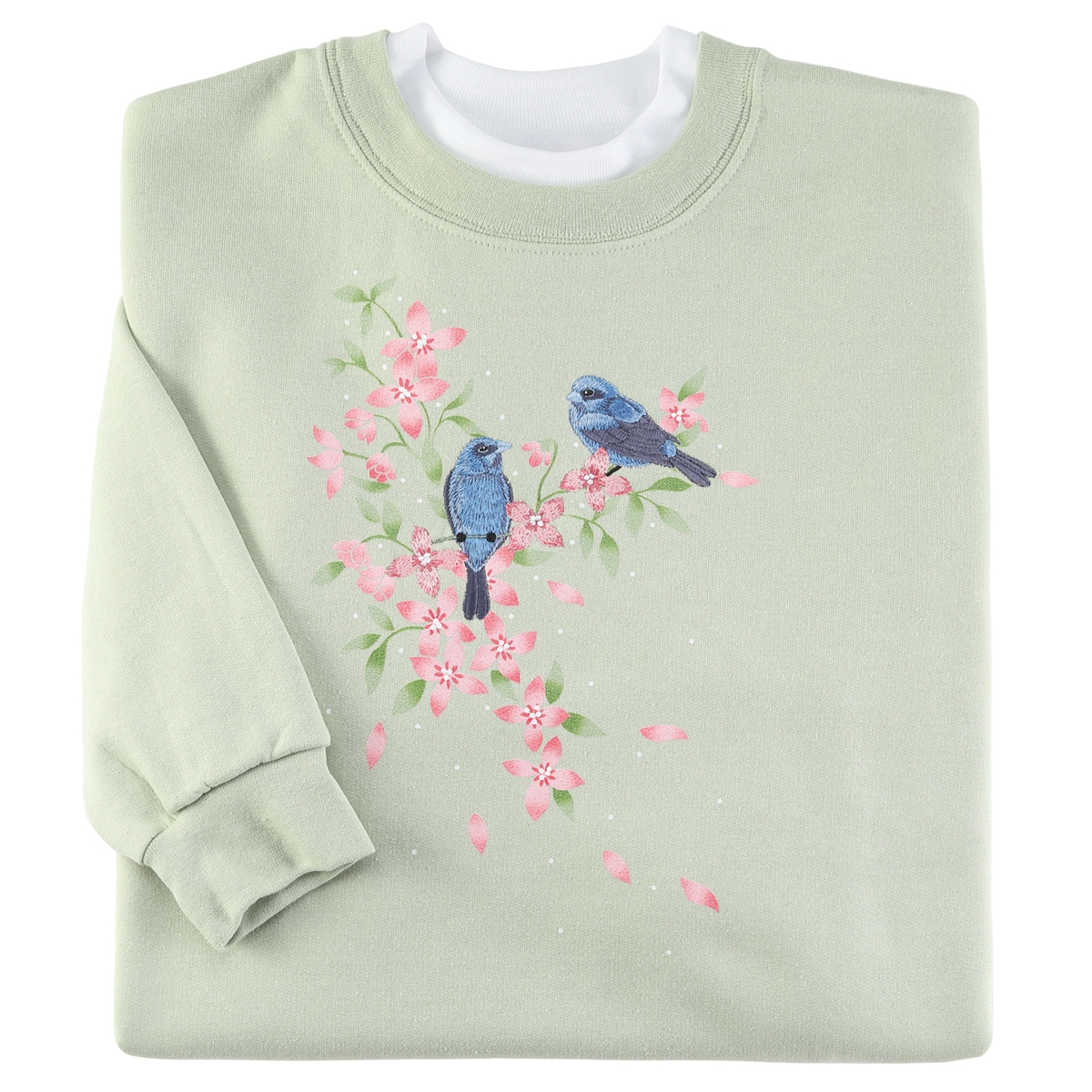 Songbirds Buddies Pullover