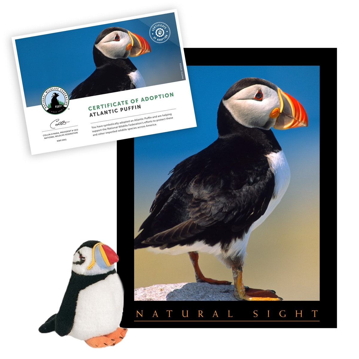 Adopt a Puffin