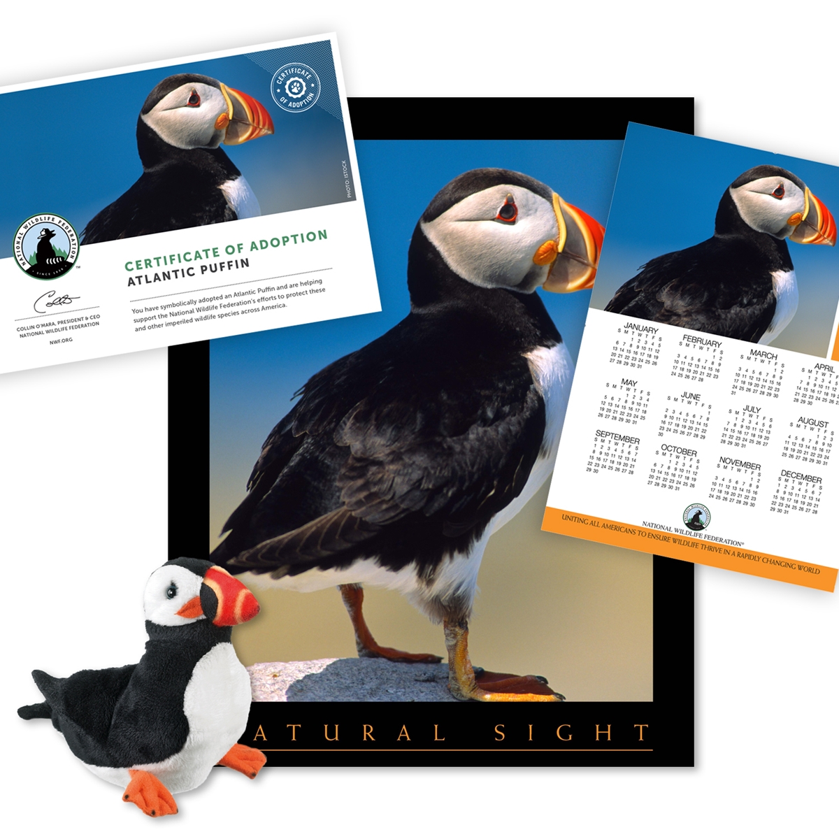 Adopt a Puffin