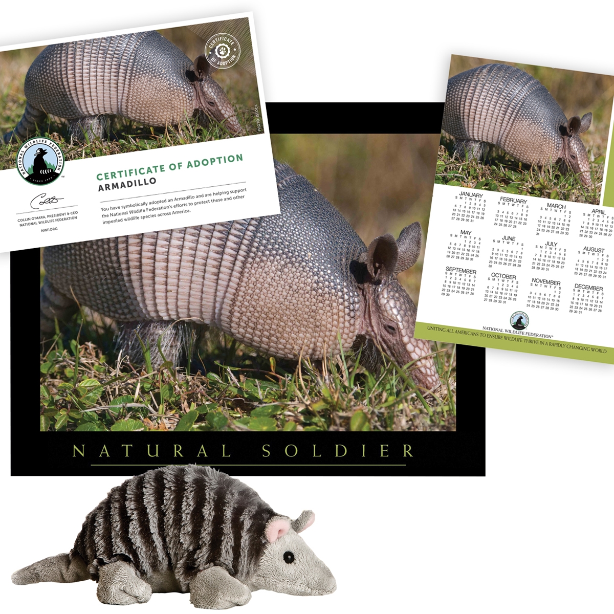 Adopt an Armadillo