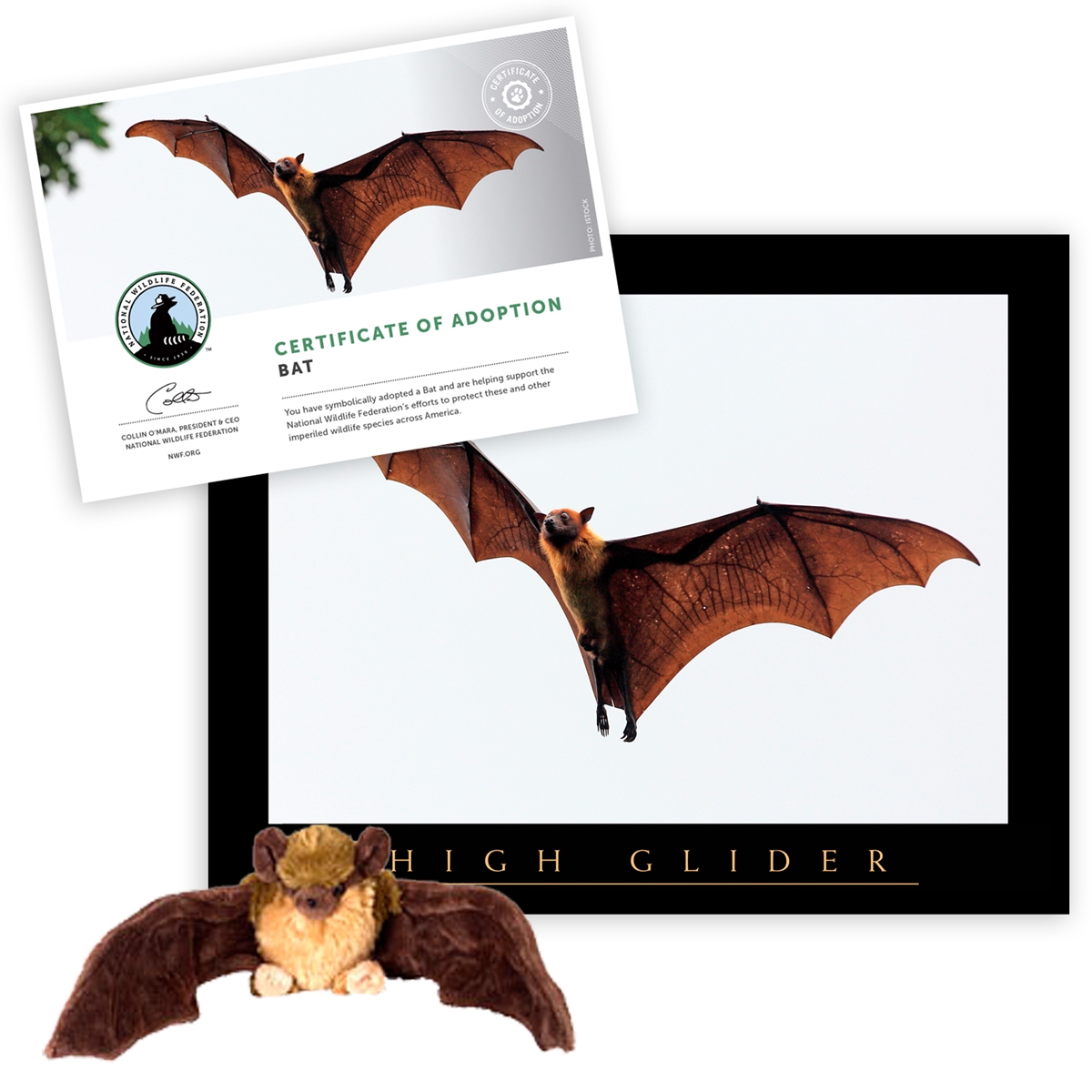 Adopt a Bat