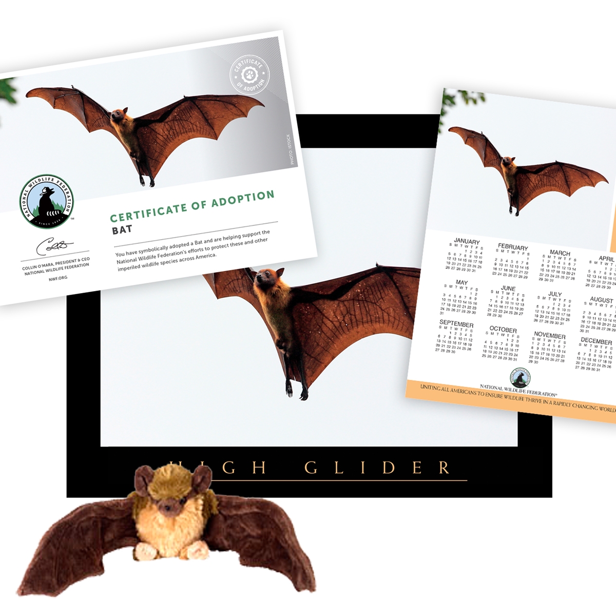 Adopt a Bat