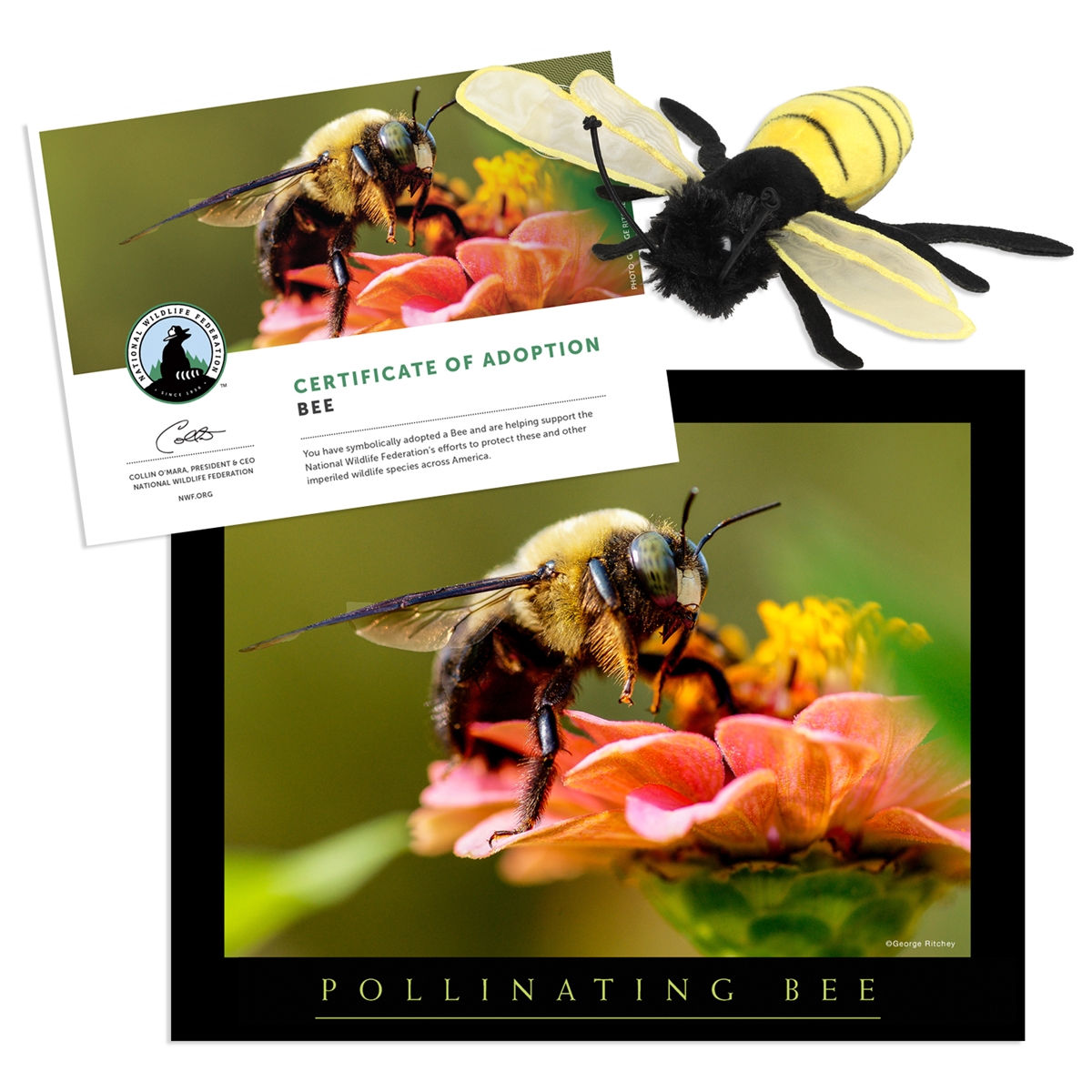 Adopt a Bee