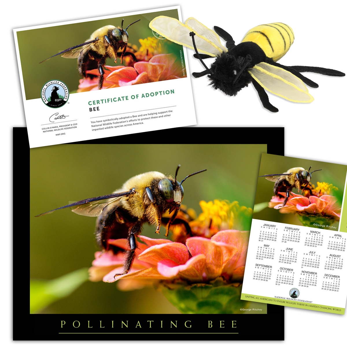 Adopt a Bee