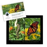 Adopt a Monarch Butterfly