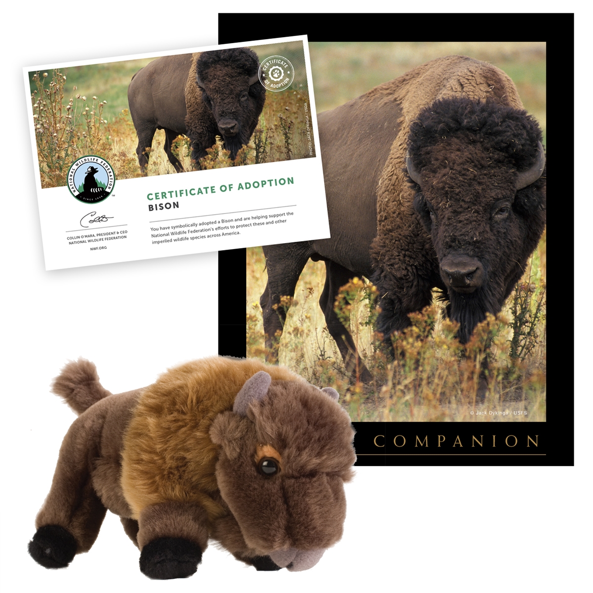 Adopt a Bison