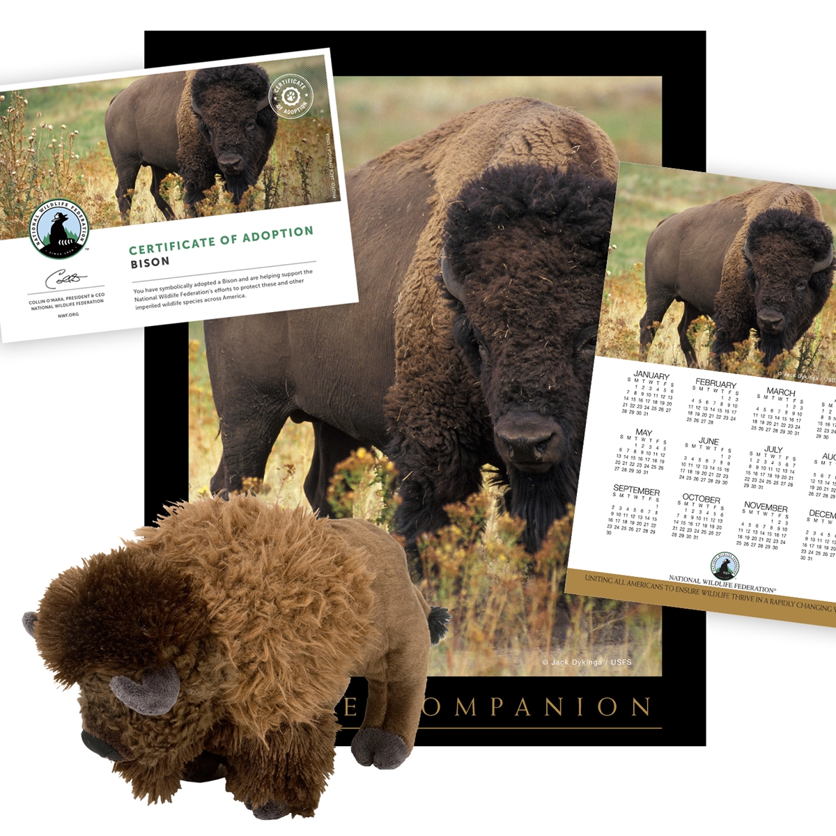 Adopt a Bison