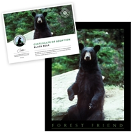 Adopt a Black Bear - BLBR25