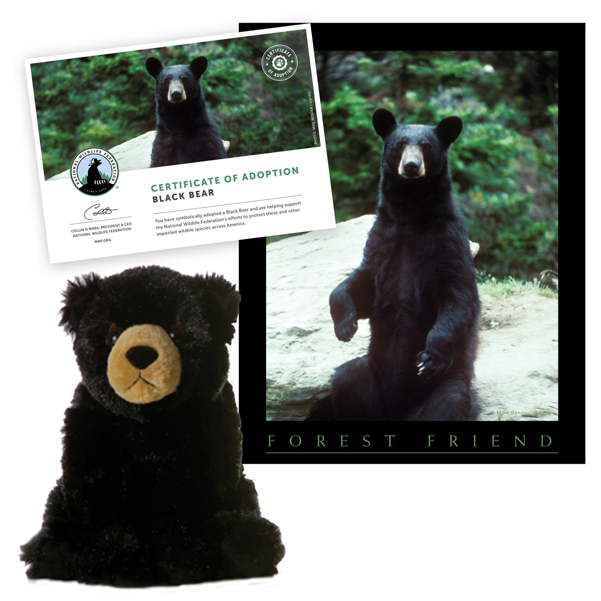 Adopt a Black Bear