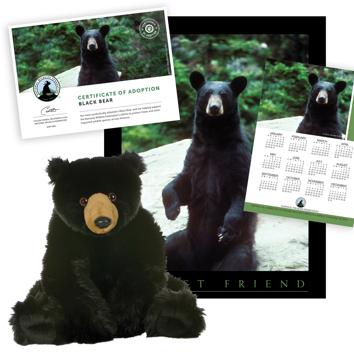 Adopt a Black Bear