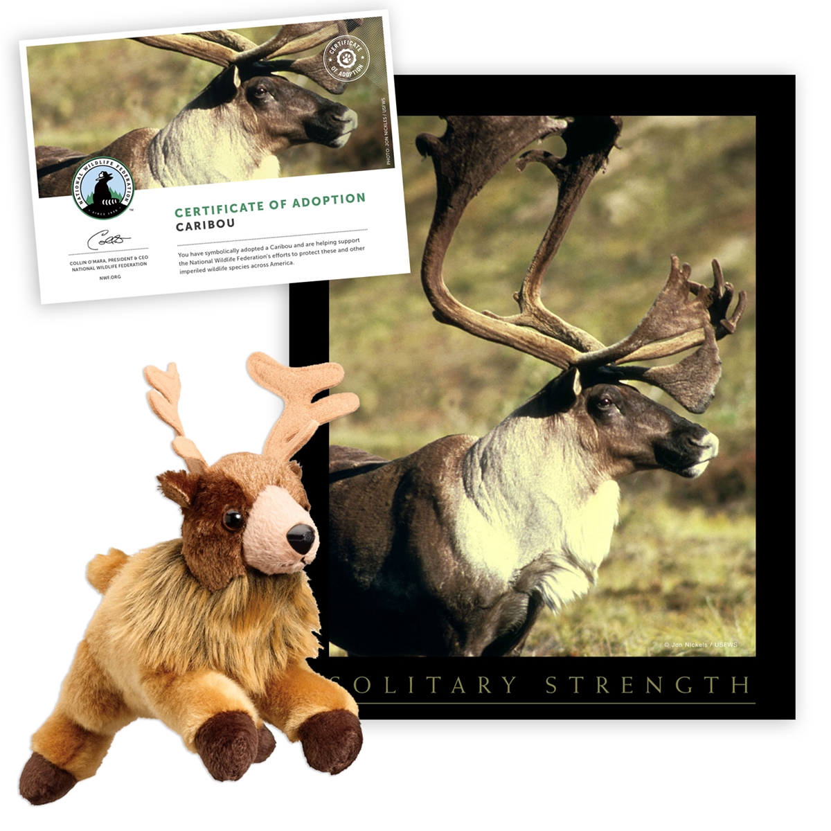 Adopt a Caribou