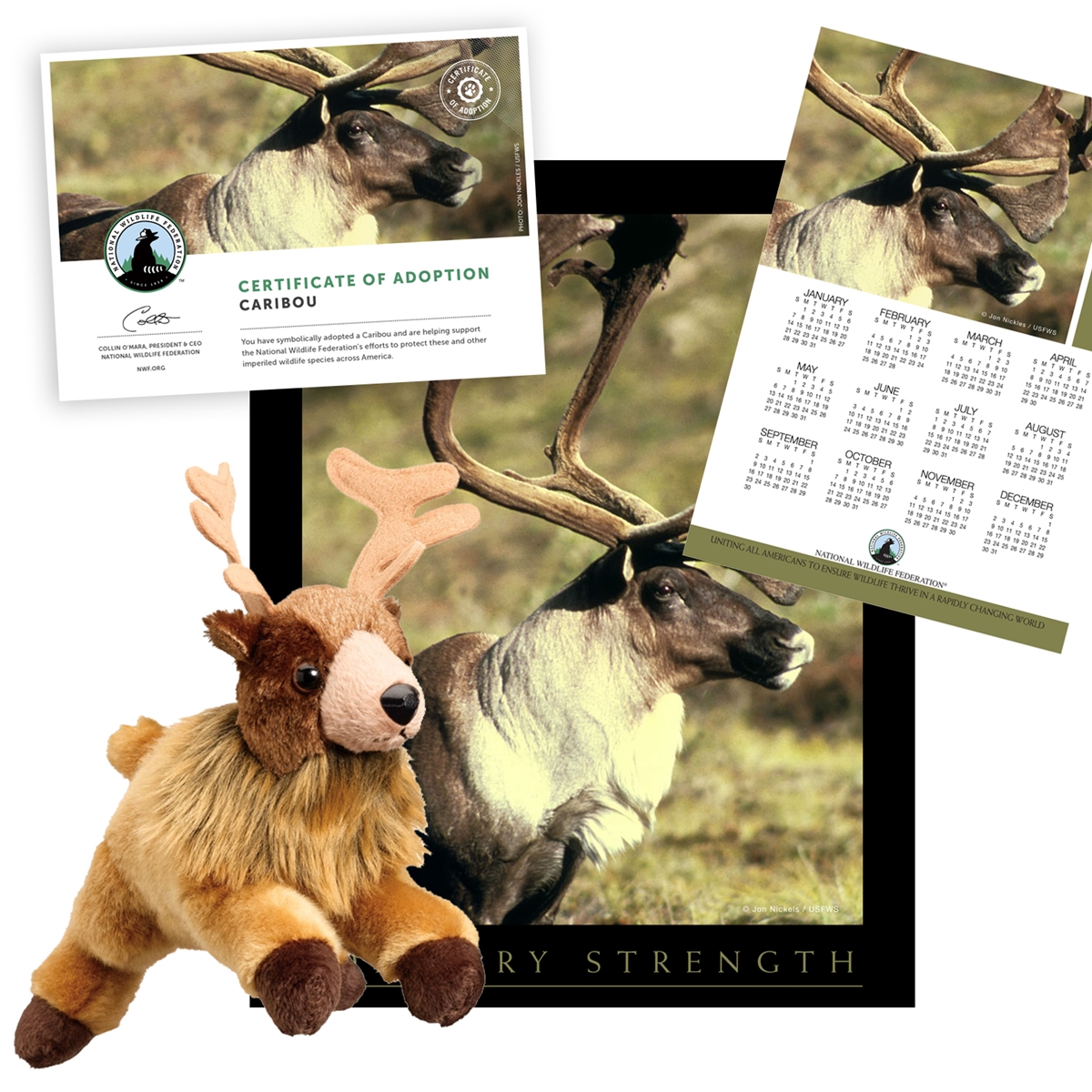 Adopt a Caribou