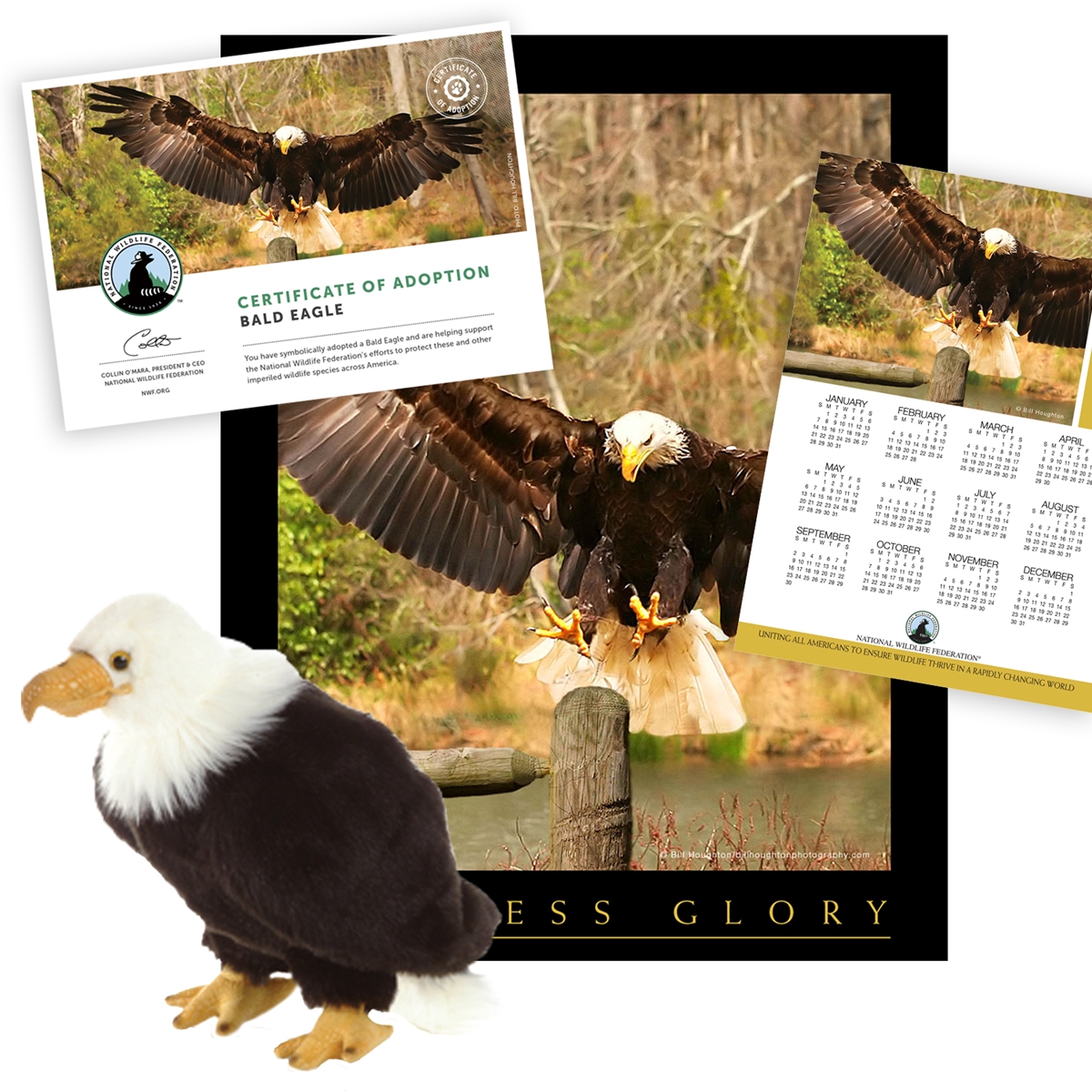 Adopt a Bald Eagle