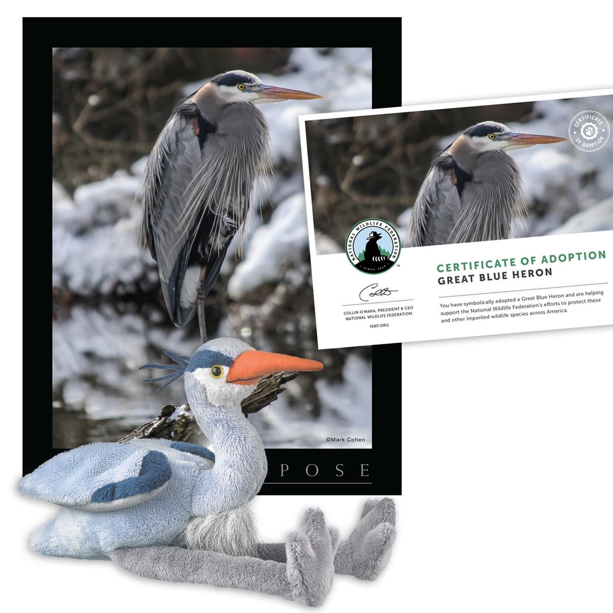 Adopt a Great Blue Heron