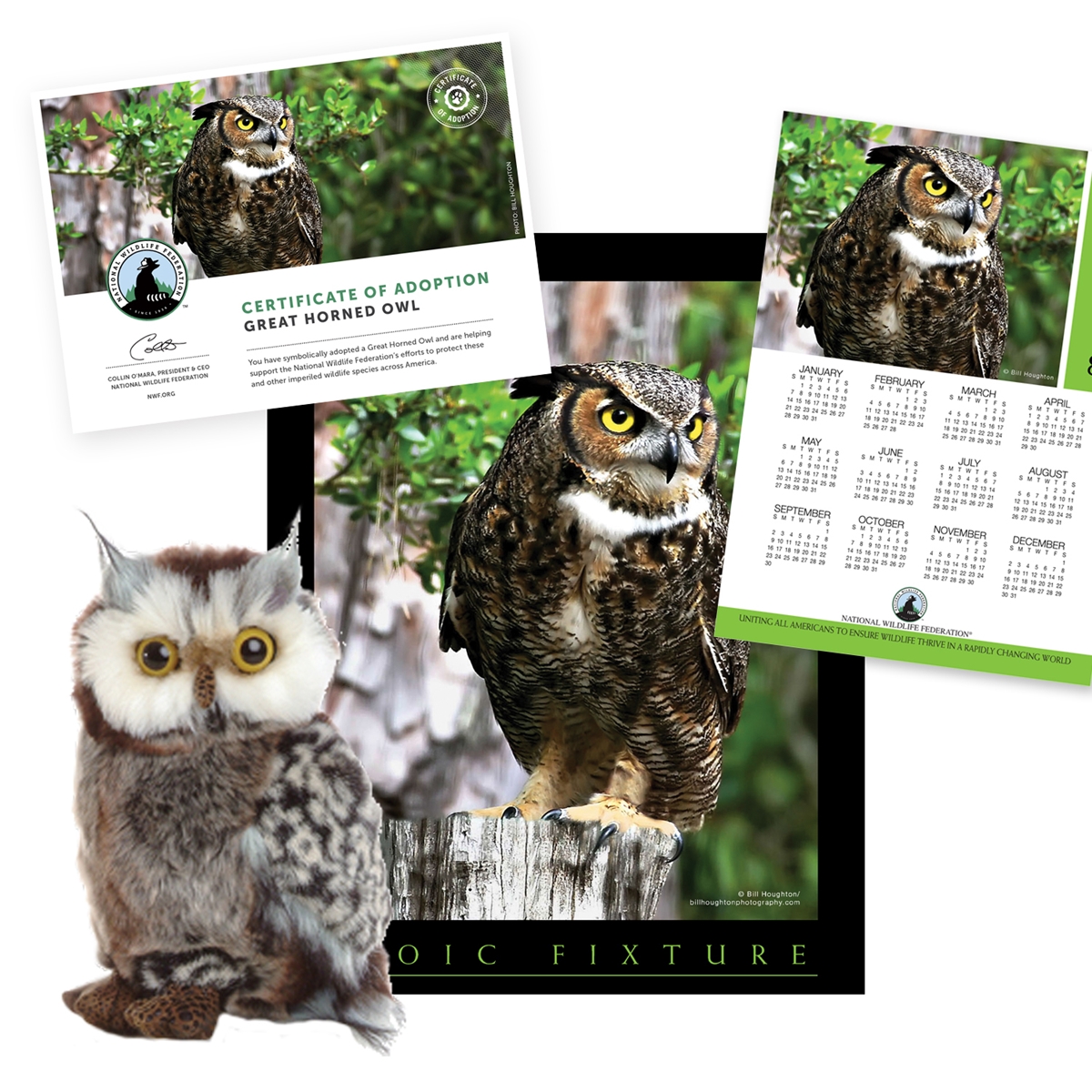 Adopt a Great Horned Owl