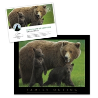 Adopt a Grizzly Bear - GRZY25