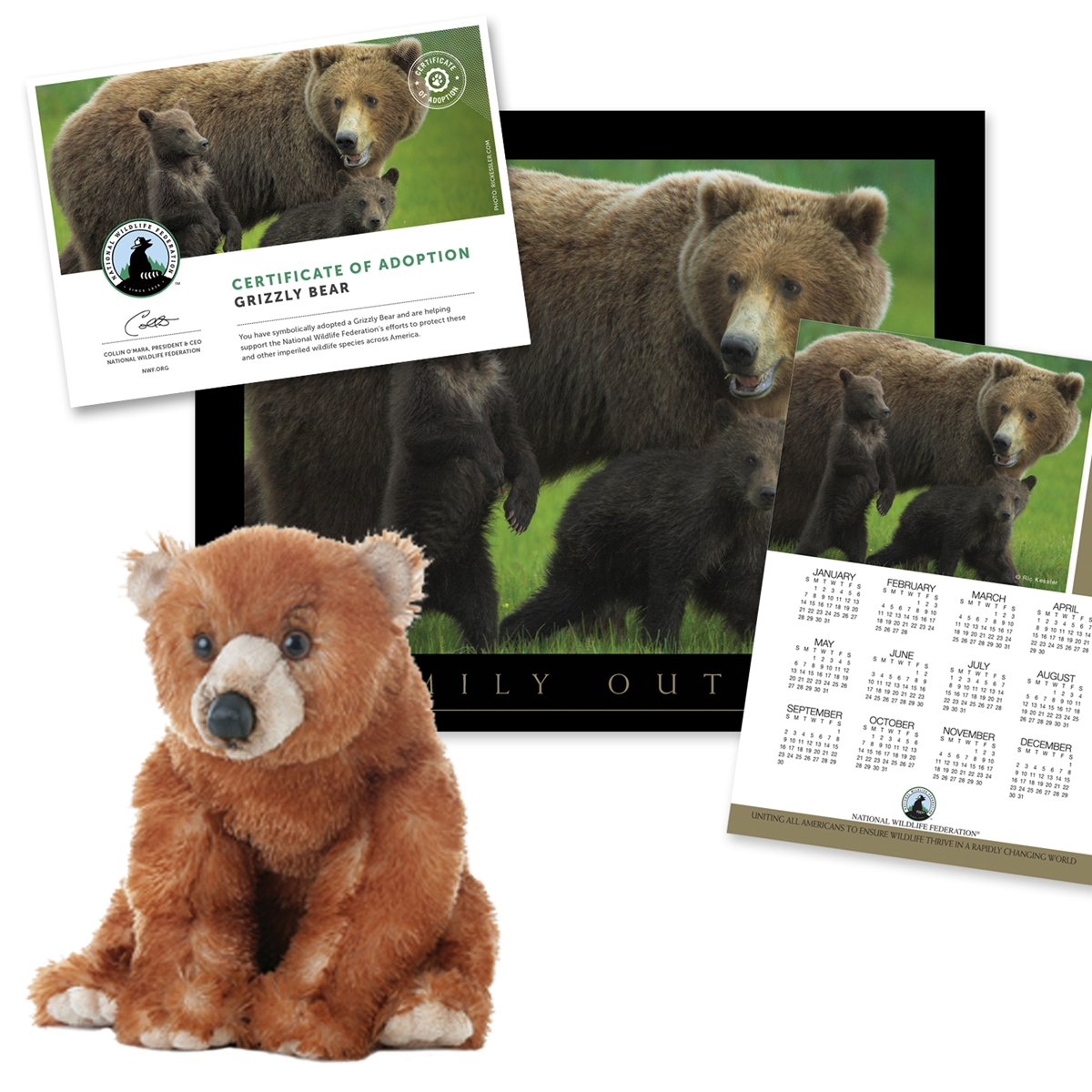 Adopt a Grizzly Bear