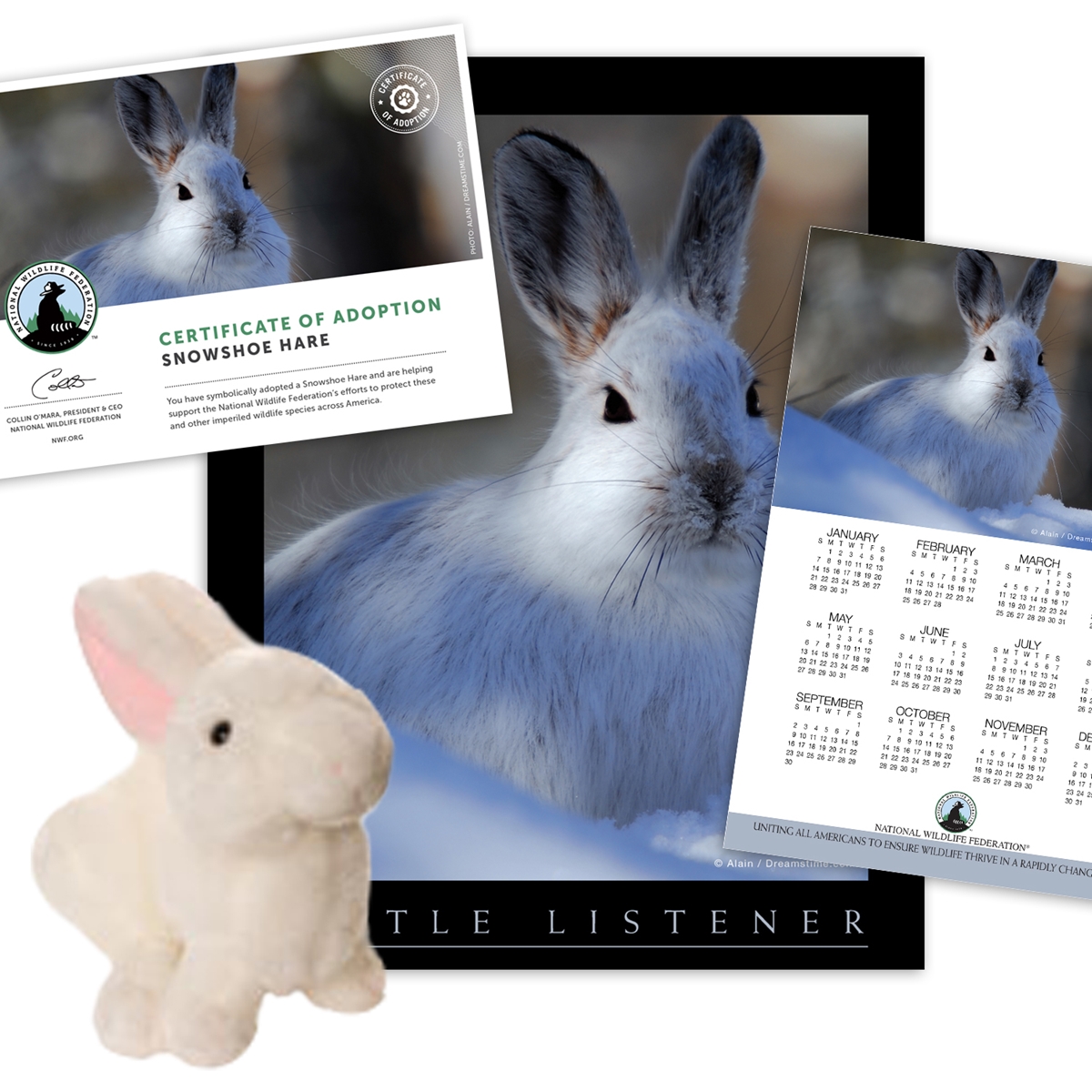 Adopt a Snowshoe Hare