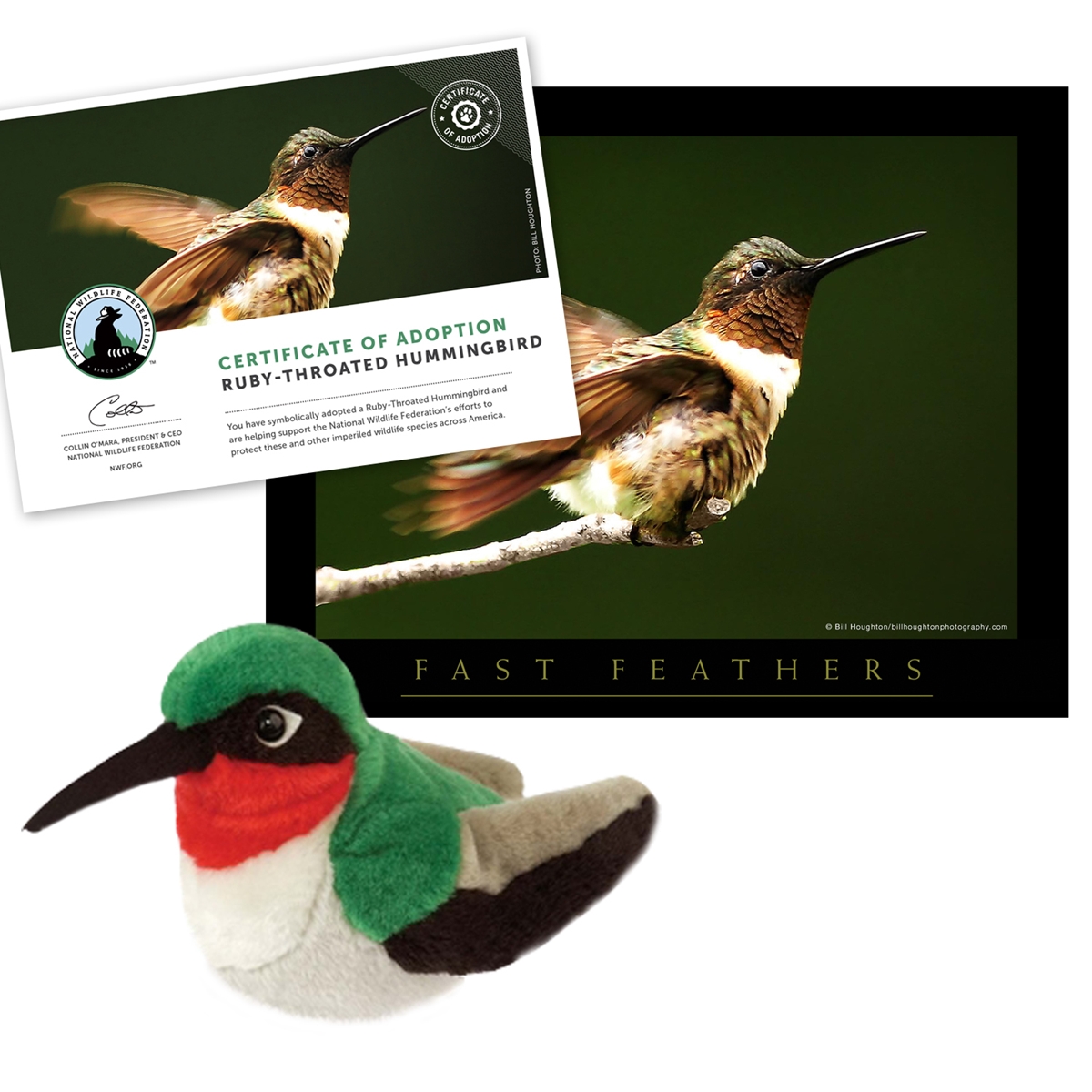 Adopt a Ruby-Throated Hummingbird