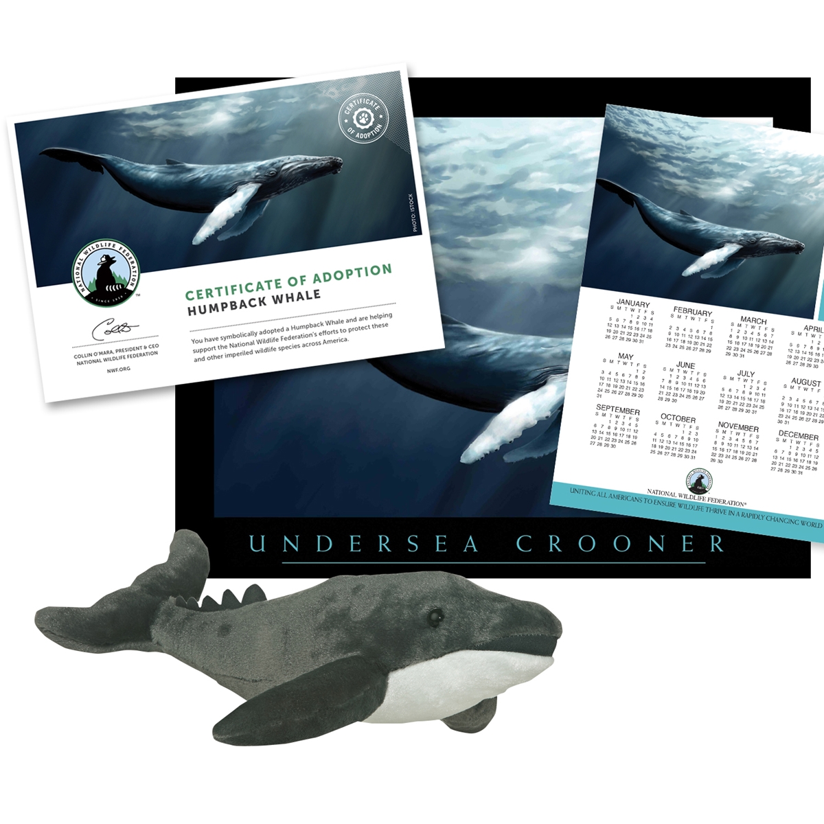 Adopt a Humpback Whale