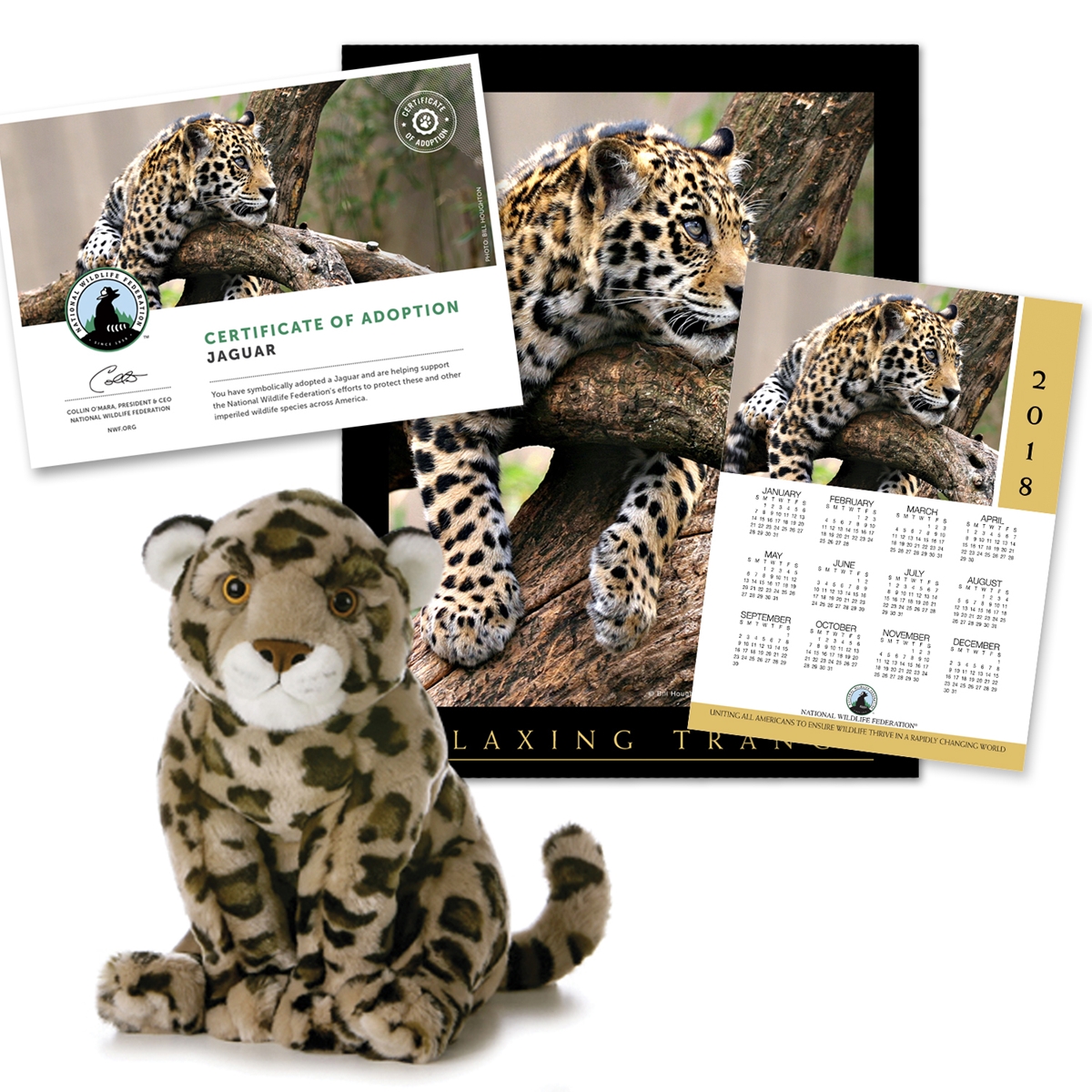 Adopt a Jaguar