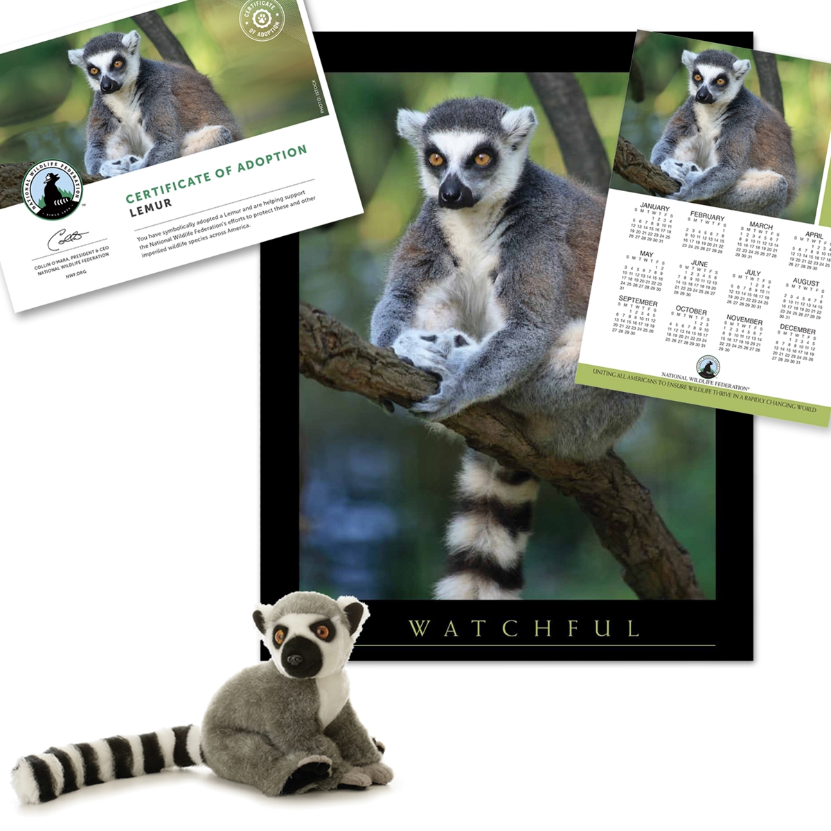 Adopt a Lemur
