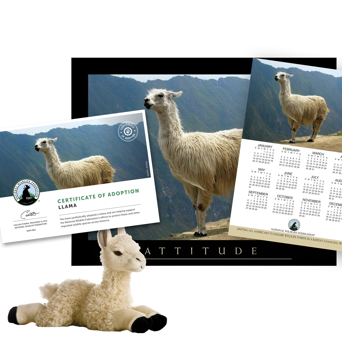 Adopt a Llama