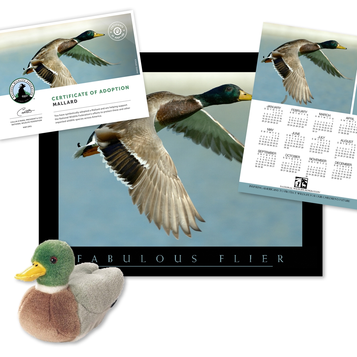 Adopt a Mallard