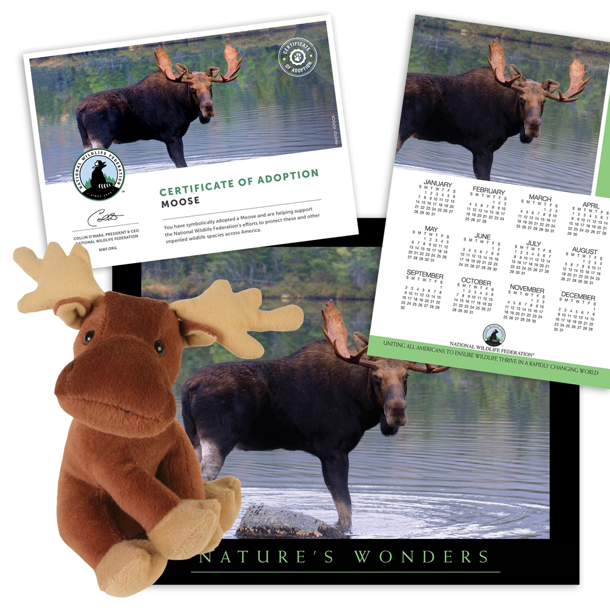 Adopt a Moose