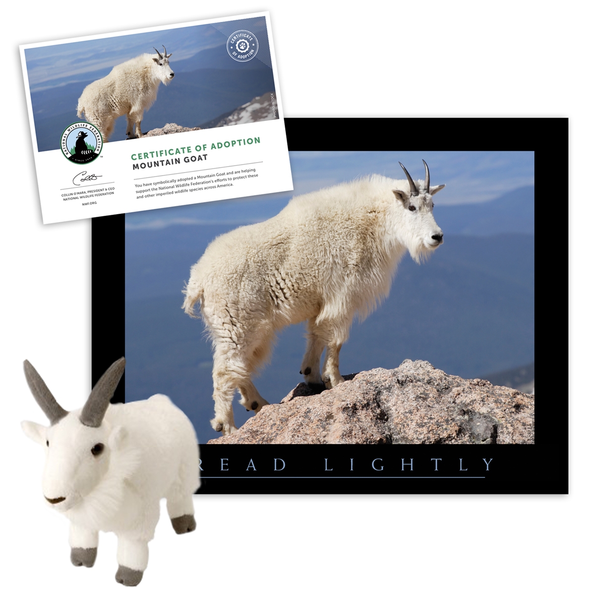 Adopt a Mountain Goat