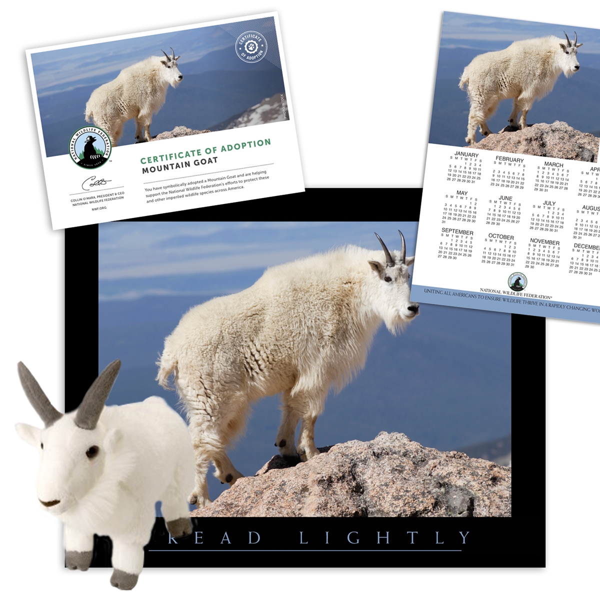Adopt a Mountain Goat