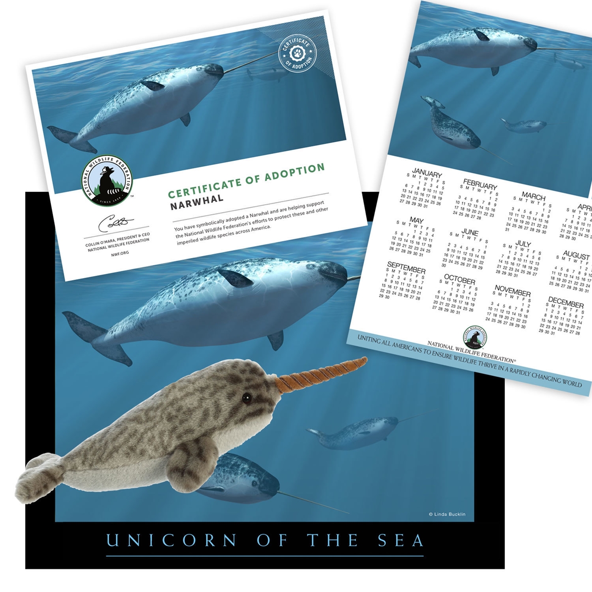 Adopt a Narwhal