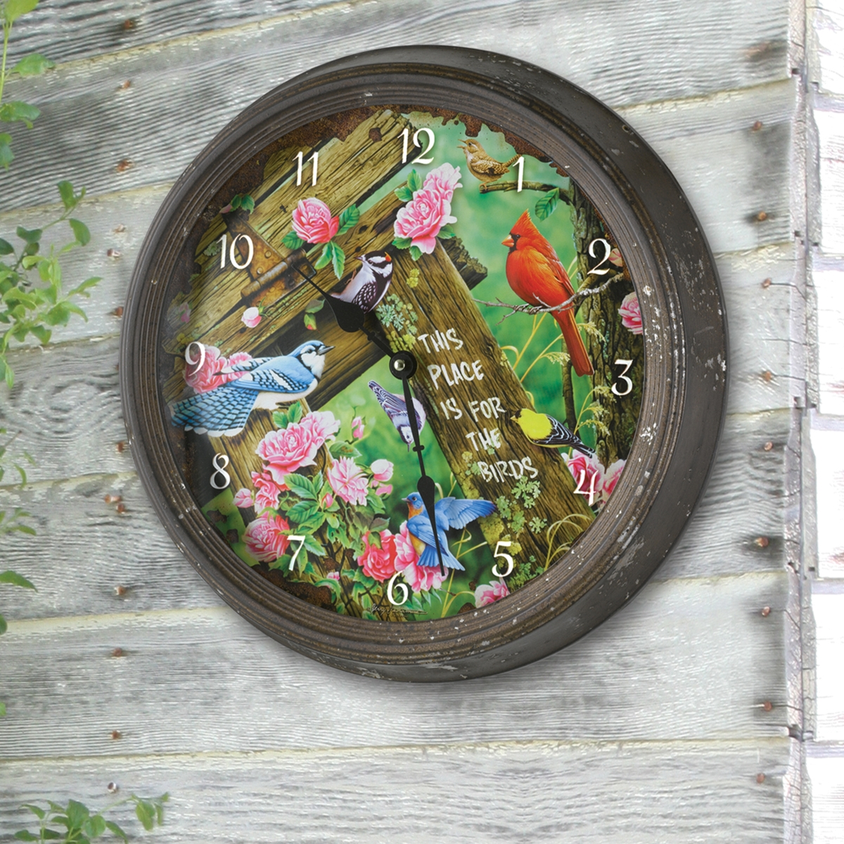 Backyard Bird Clock