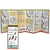 Hummingbird Guide - NWF3313