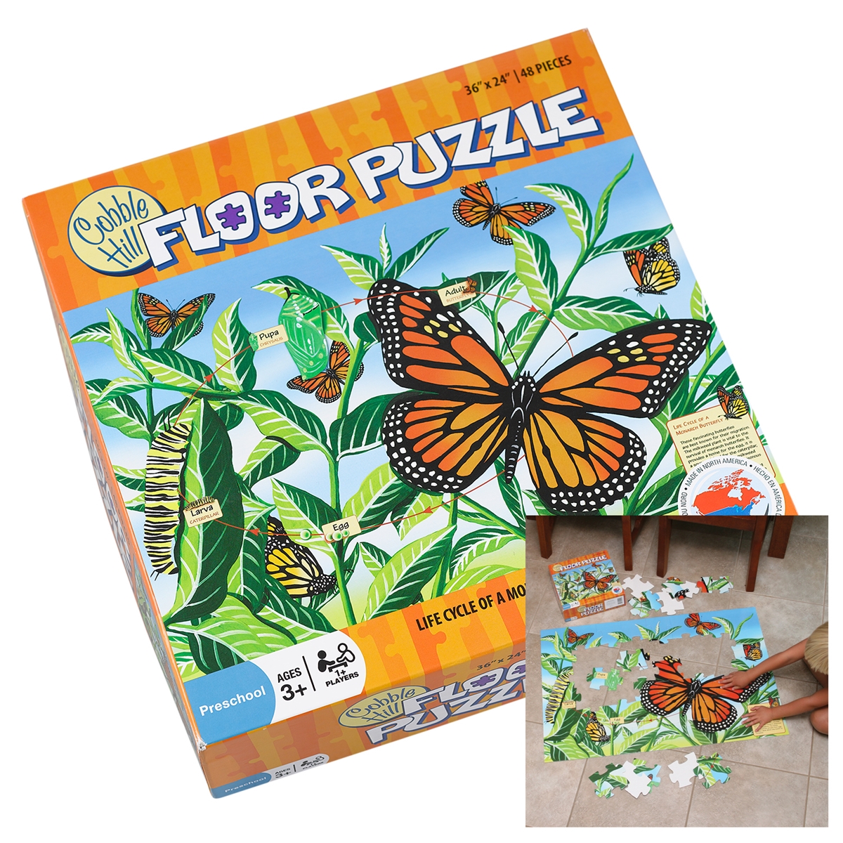 Monarch Life Cycle Floor Puzzle