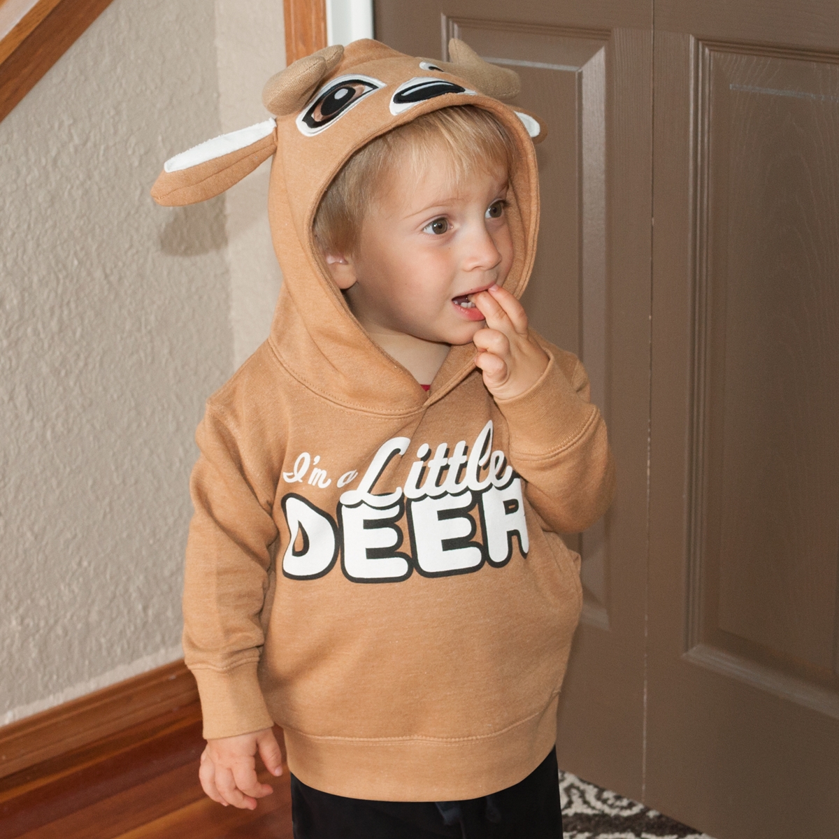 Little Deer Pullover