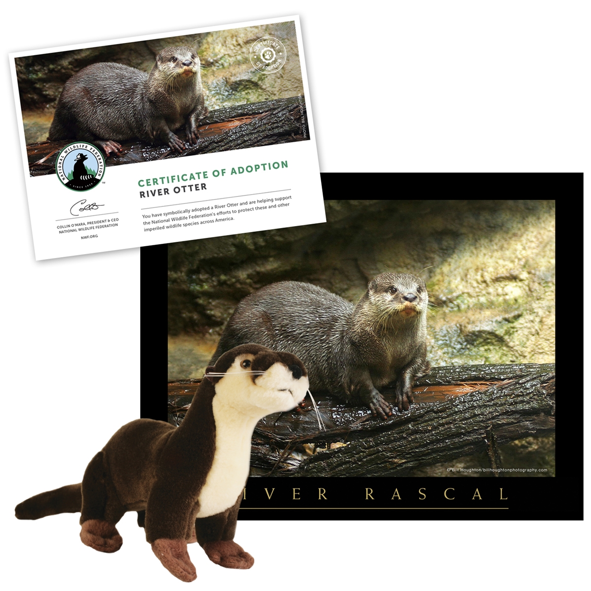 Adopt a River Otter
