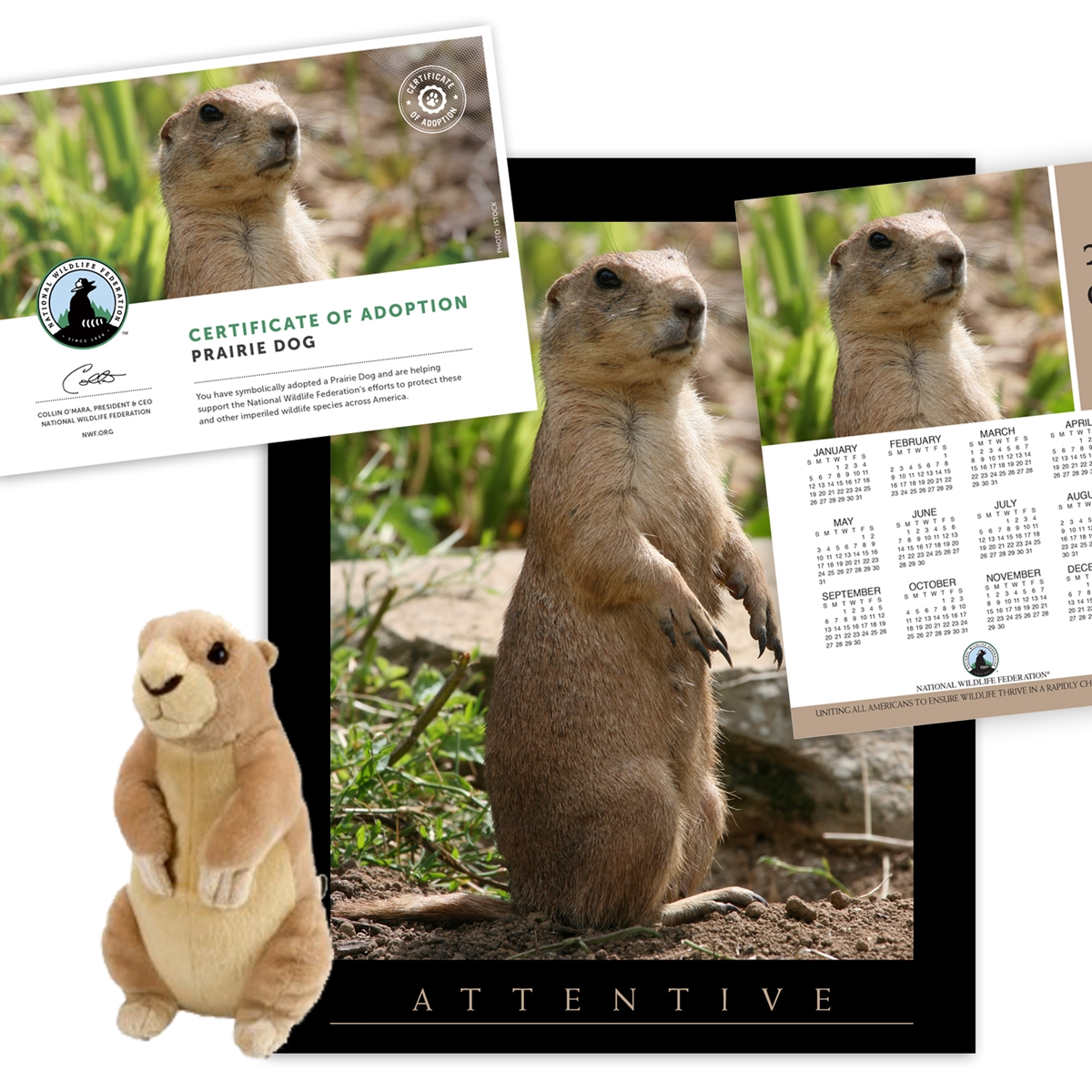 Adopt a Prairie Dog