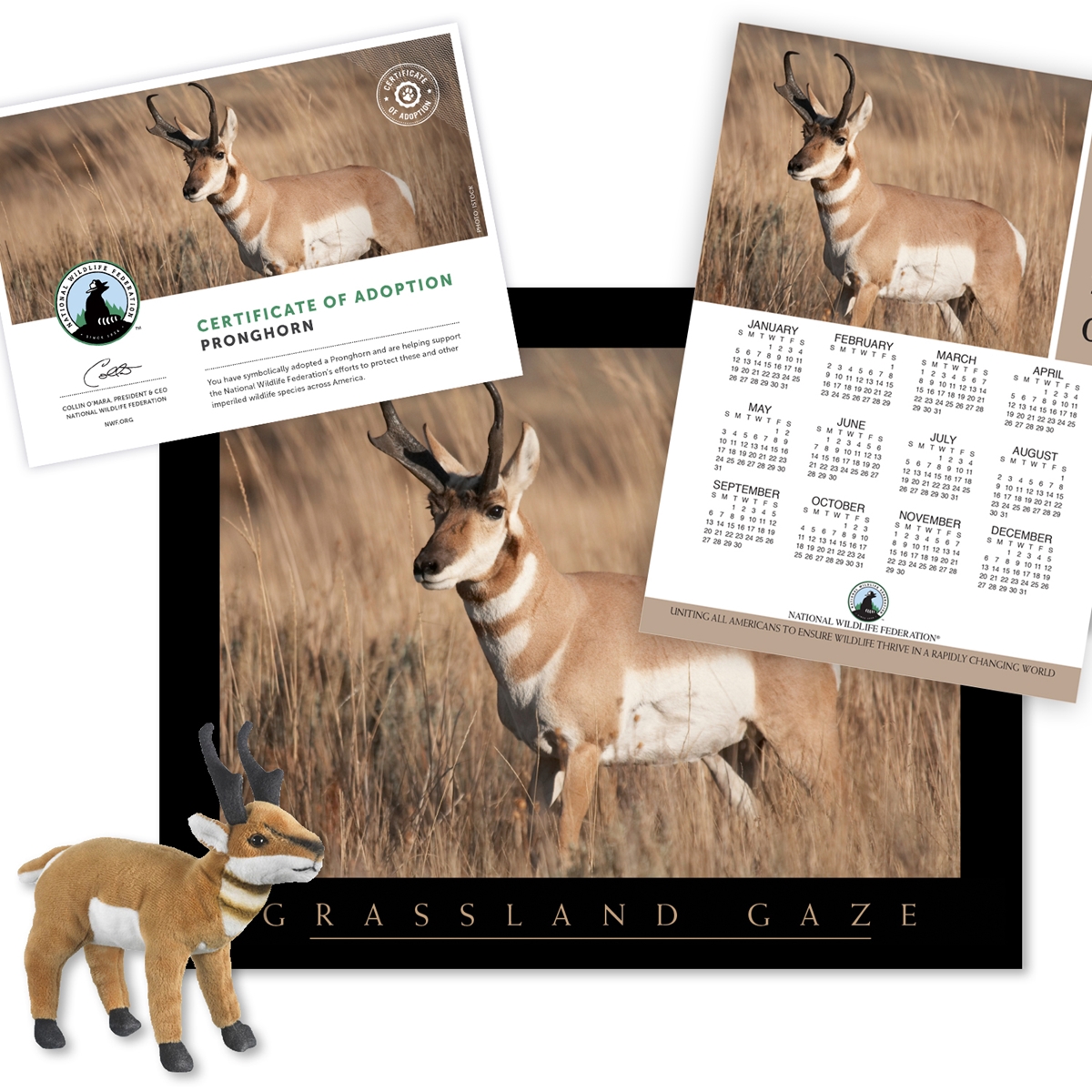 Adopt a Pronghorn