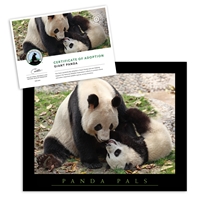 Adopt a Giant Panda - PNDA25