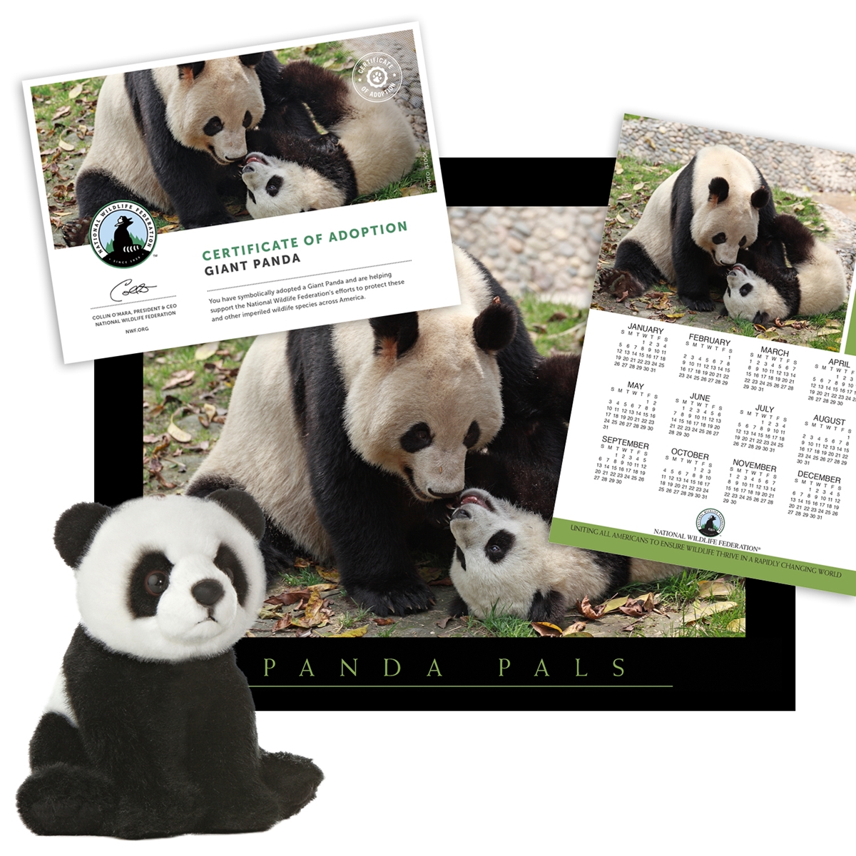 Adopt a Giant Panda